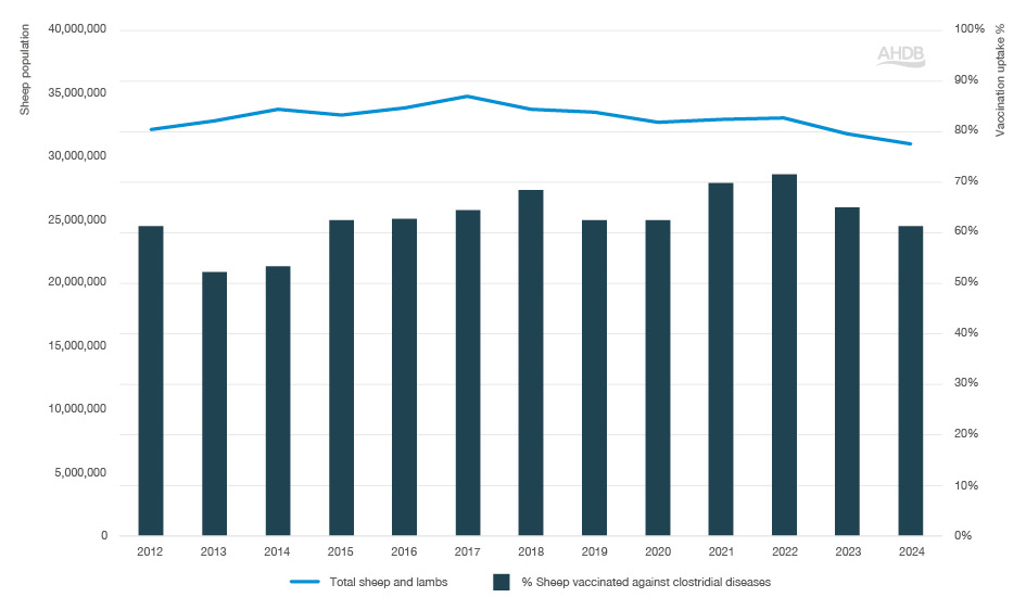 Bar graph with clostridial disease vaccination data from 2012-2024.